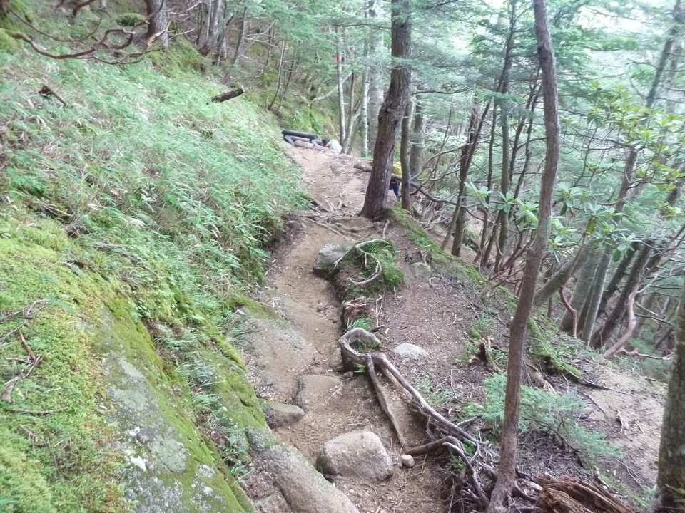 P1210999_mid.jpg