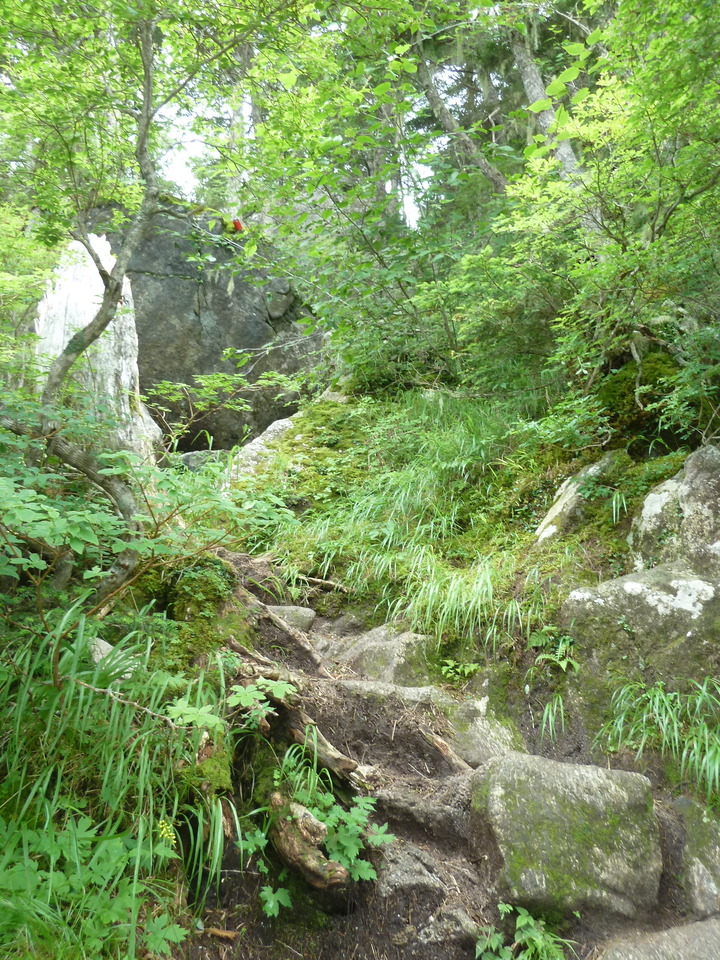 P1220028_mid.jpg