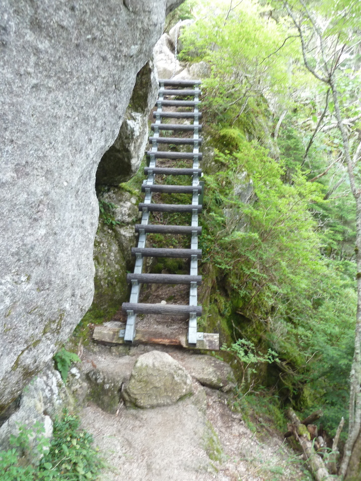 P1220053_mid.jpg