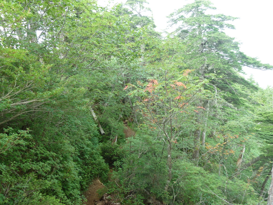 P1220061_mid.jpg