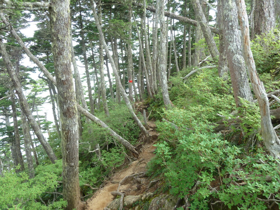 P1220062_mid.jpg