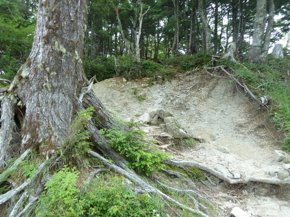 P1220070_mid.jpg