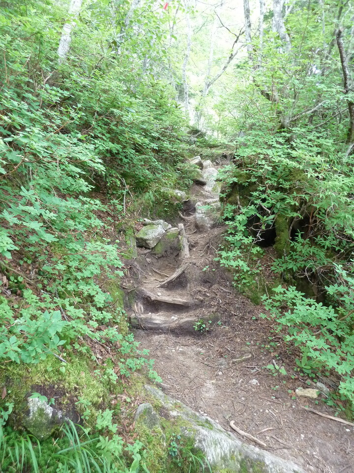 P1220074_mid.jpg
