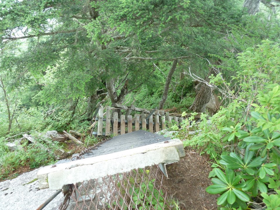 P1220082_mid.jpg