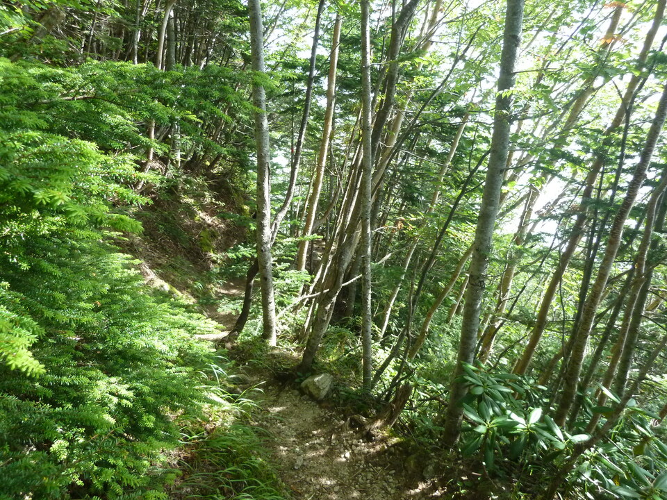 P1220095_mid.jpg