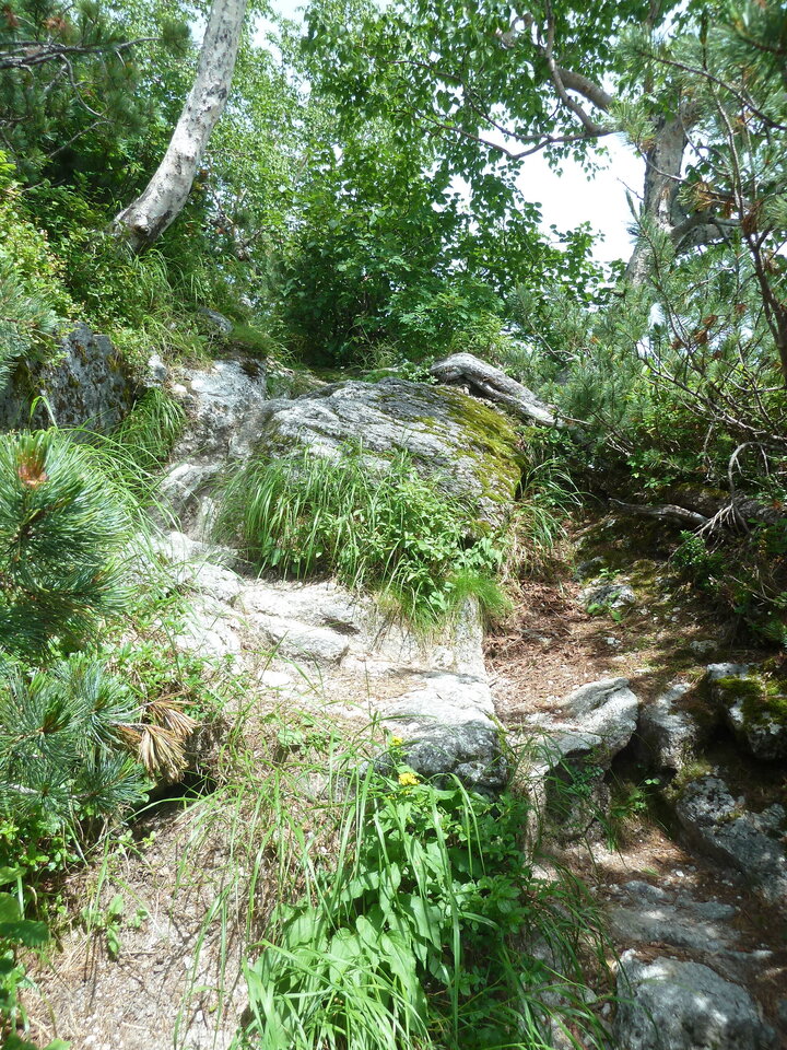 P1220207_mid.jpg
