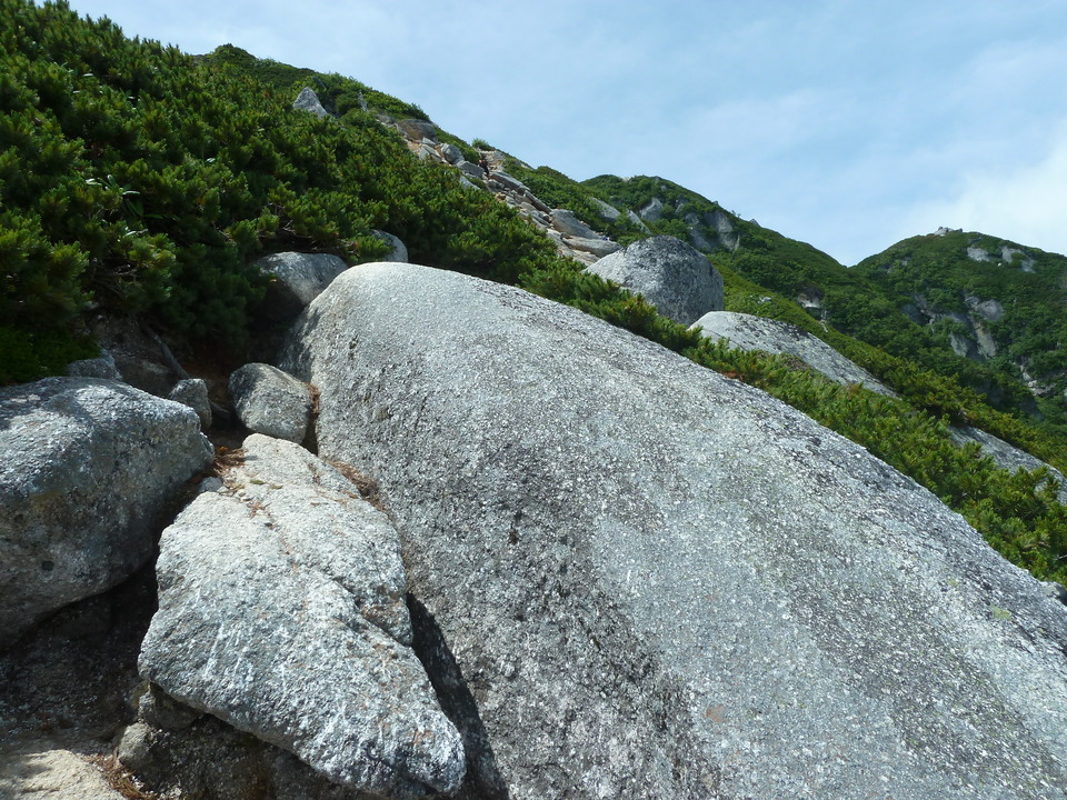 P1220240_mid.jpg