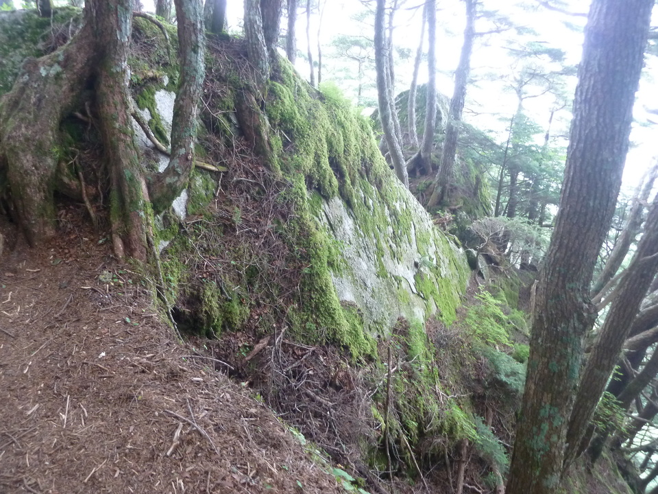 P1220314_mid.jpg