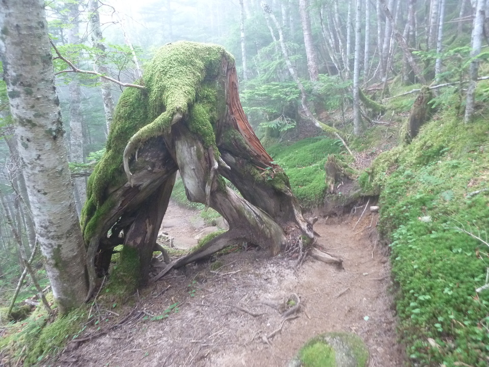 P1220320_mid.jpg