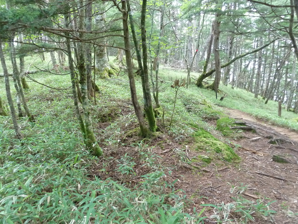 P1220334_mid.jpg
