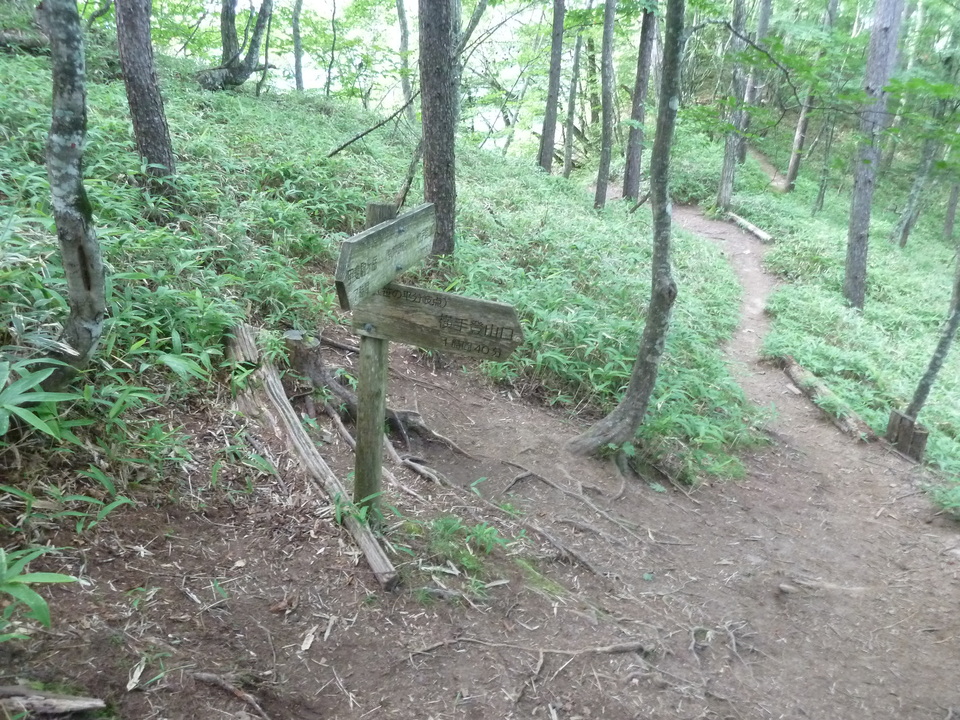 P1220335_mid.jpg