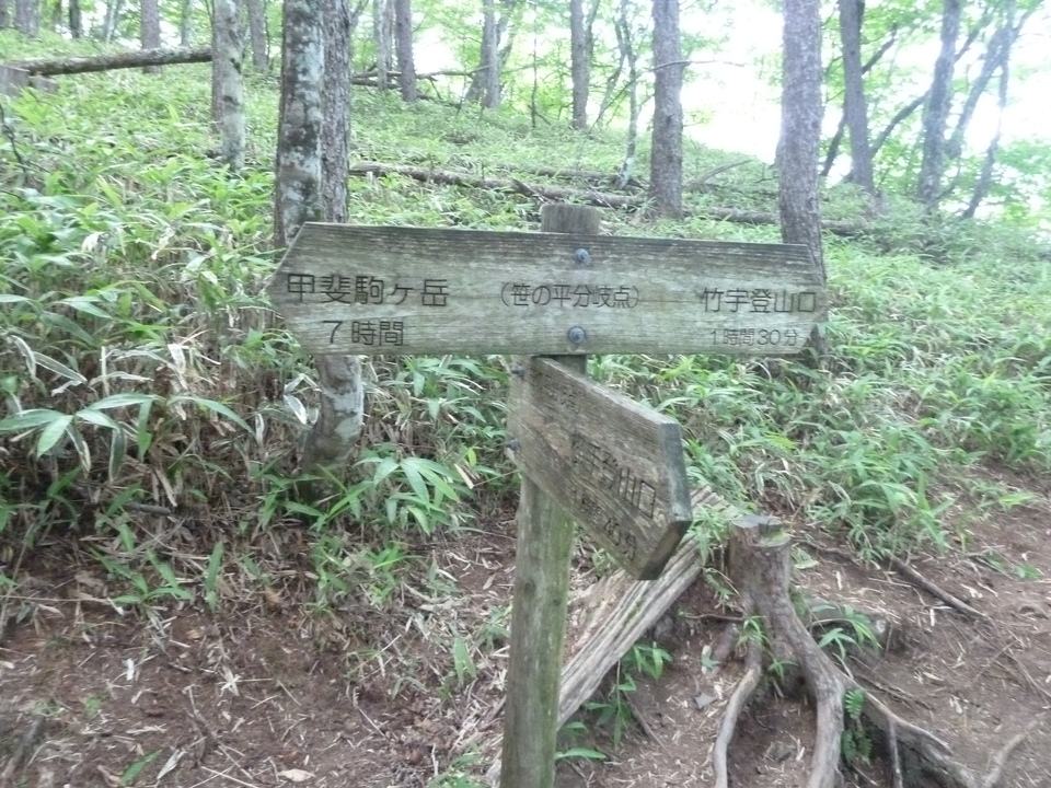 P1220337_mid.jpg