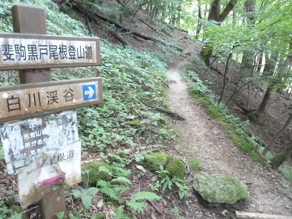 P1220342_mid.jpg