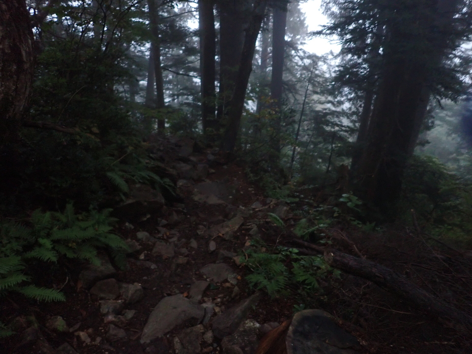 PA024929_mid.jpg