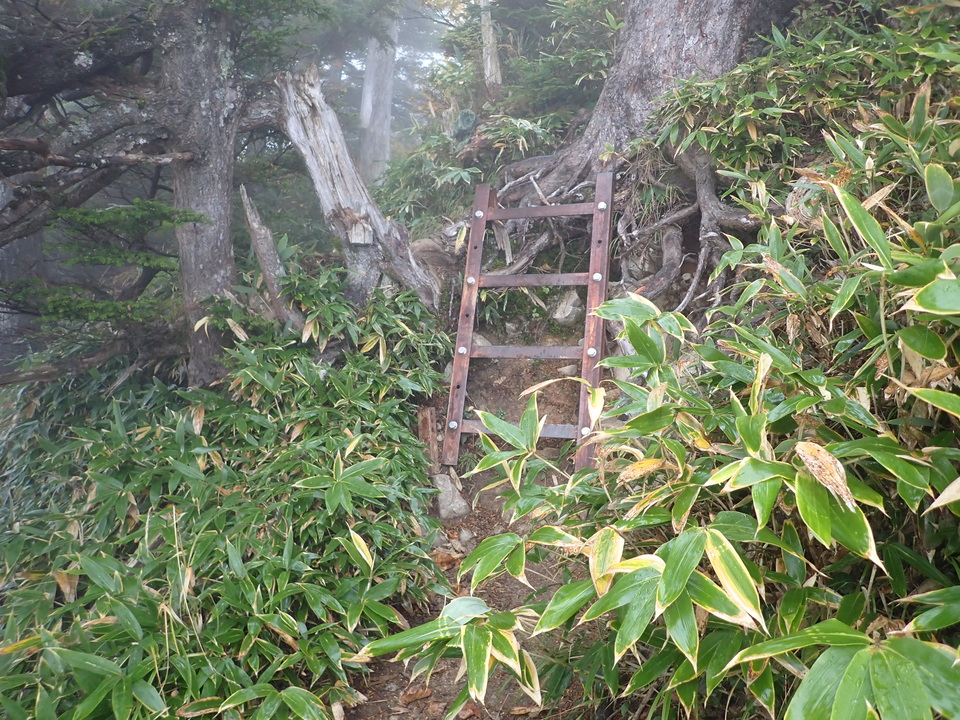 PA024948_mid.jpg