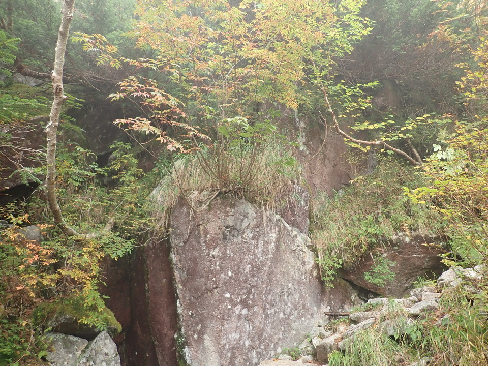 PA024952_mid.jpg