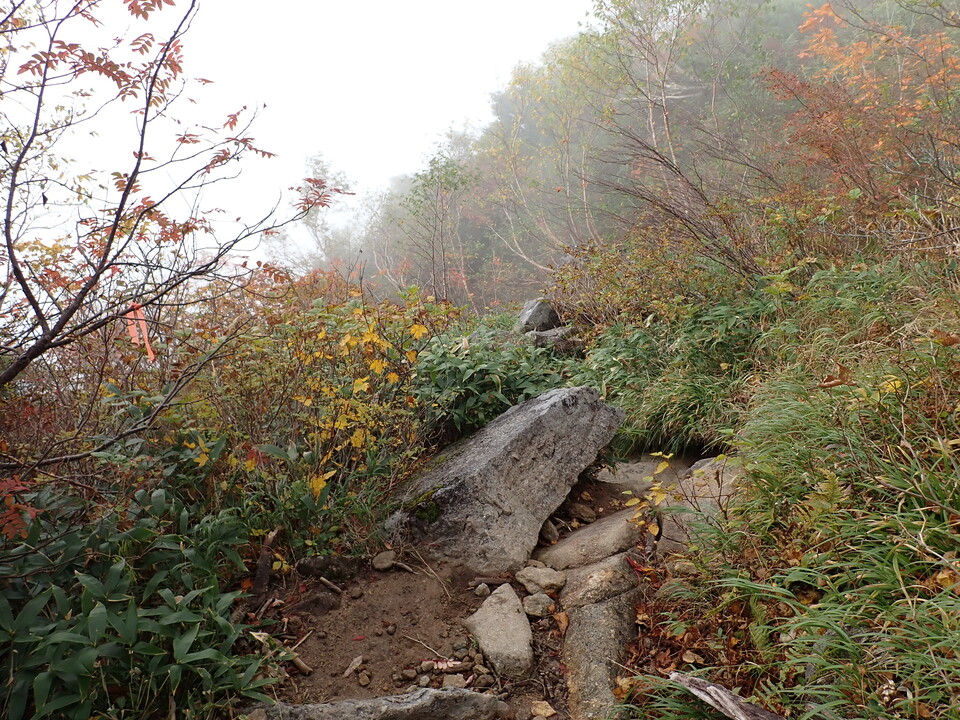 PA024978_mid.jpg