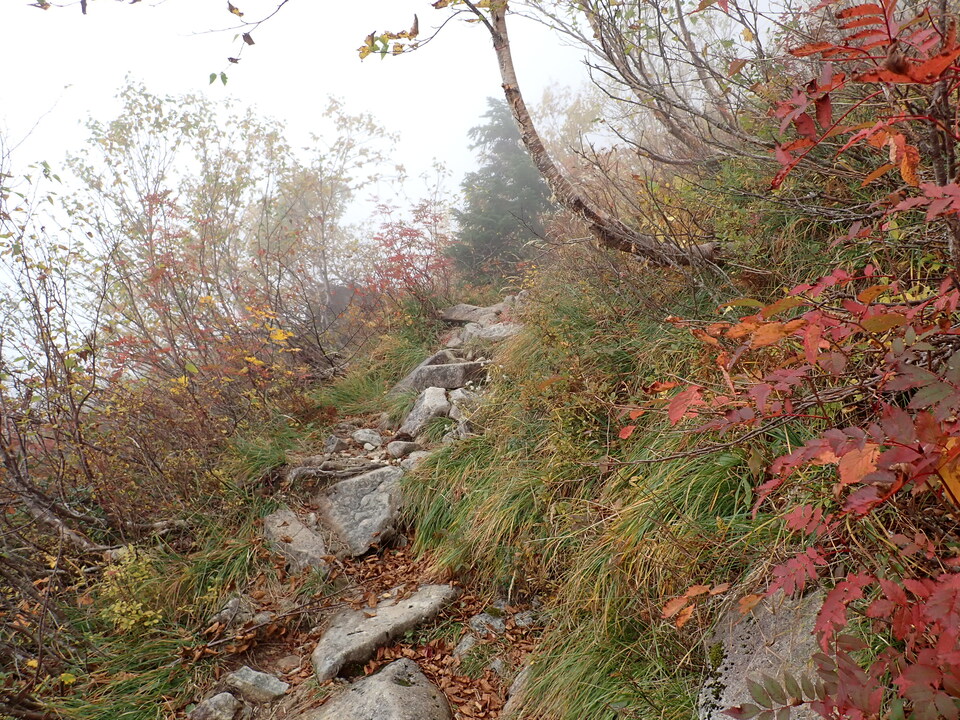 PA025001_mid.jpg