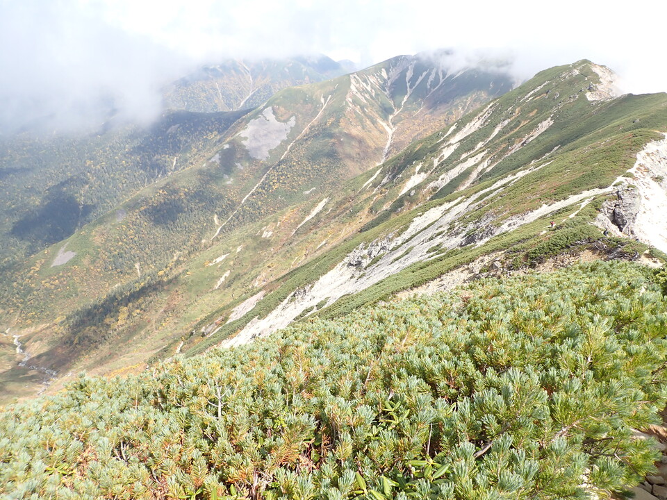 PA025144_mid.jpg