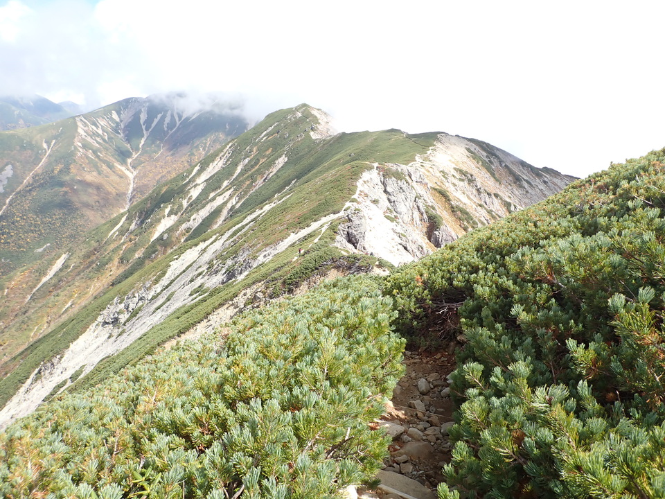 PA025145_mid.jpg