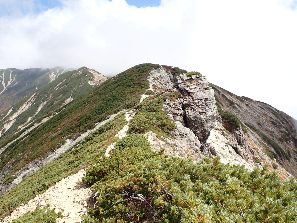 PA025147_mid.jpg
