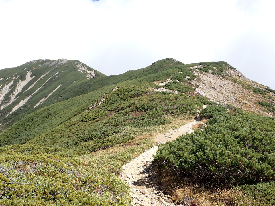 PA025161_mid.jpg