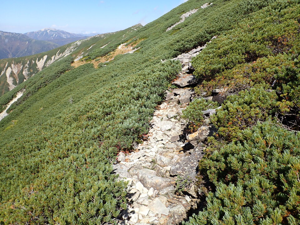PA025169_mid.jpg