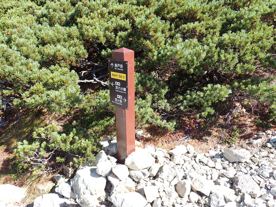 PA025172_mid.jpg