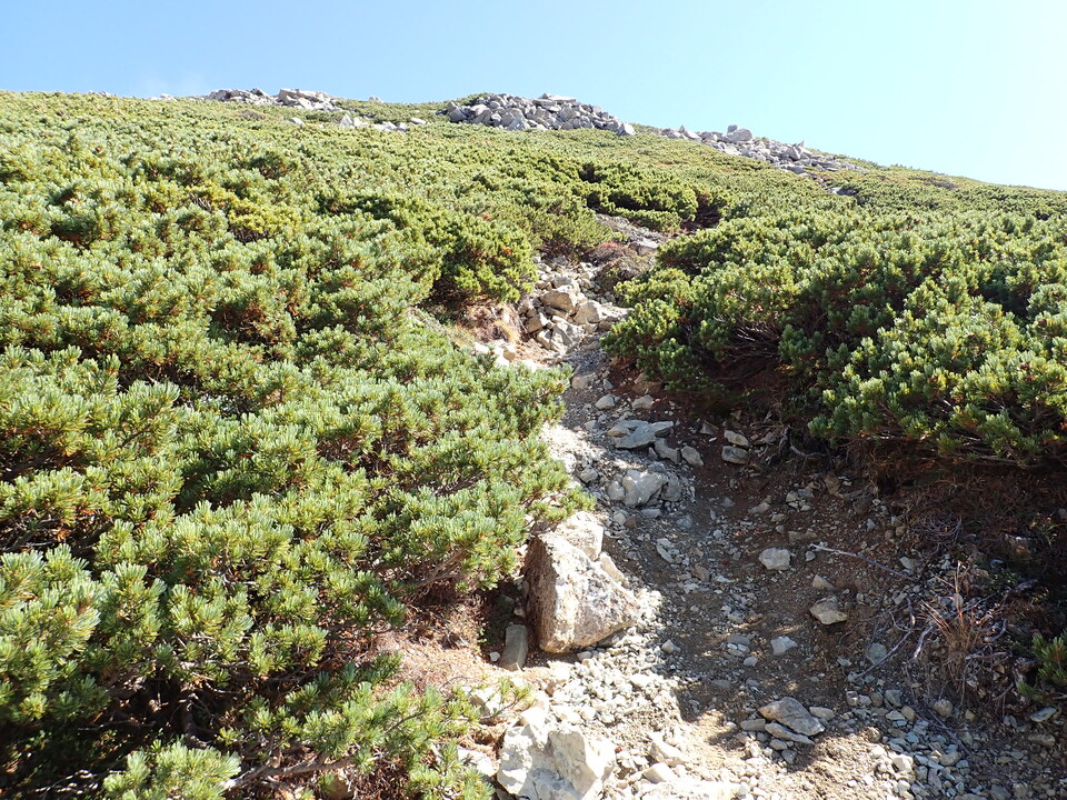 PA025173_mid.jpg