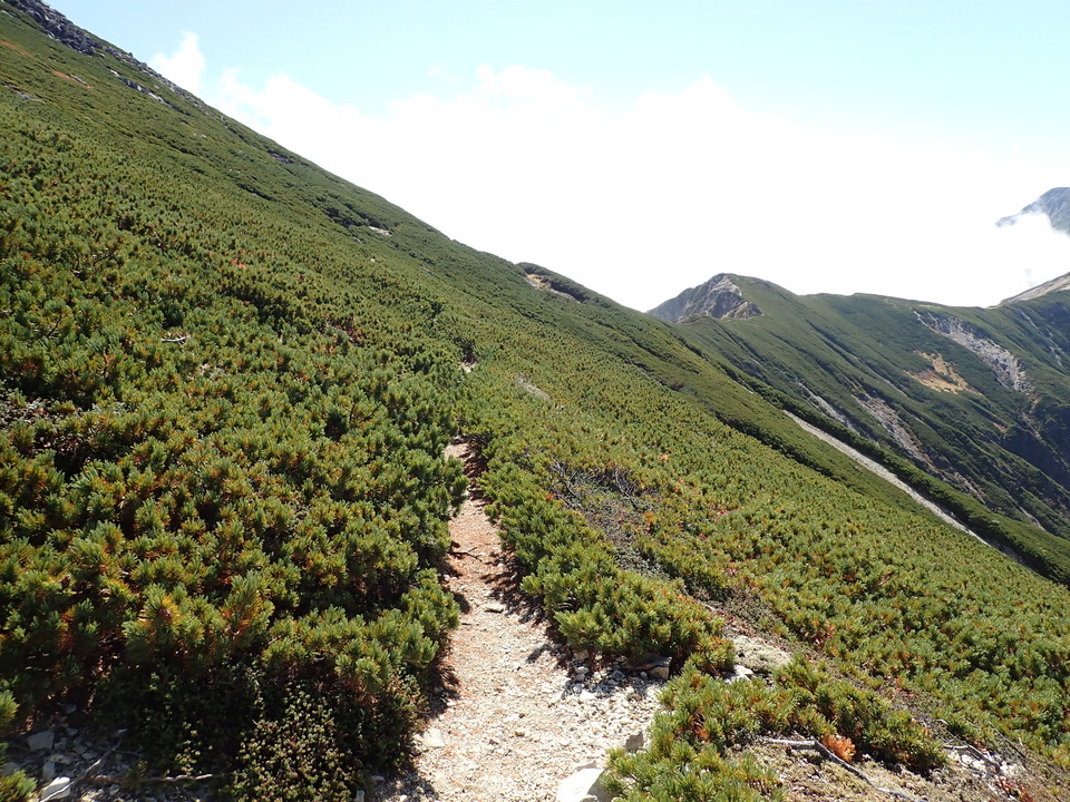 PA025177_mid.jpg
