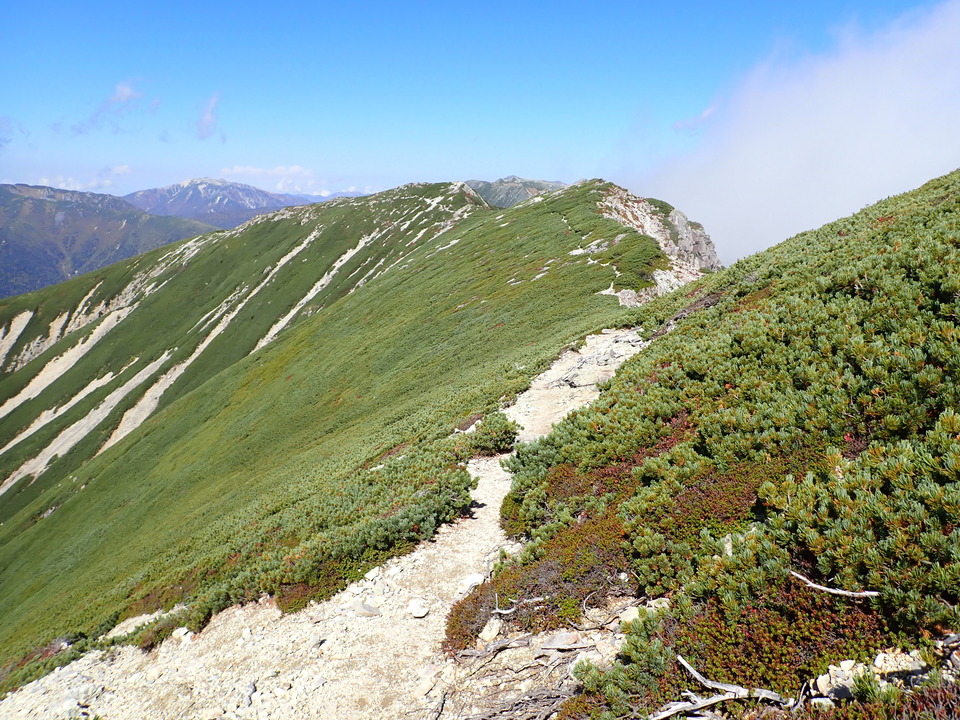 PA025182_mid.jpg