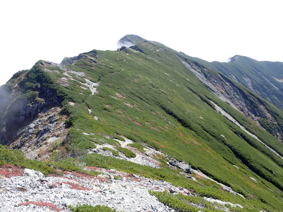 PA025194_mid.jpg