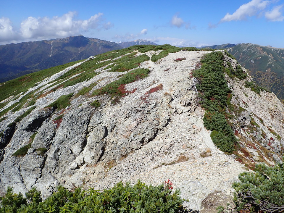 PA025203_mid.jpg