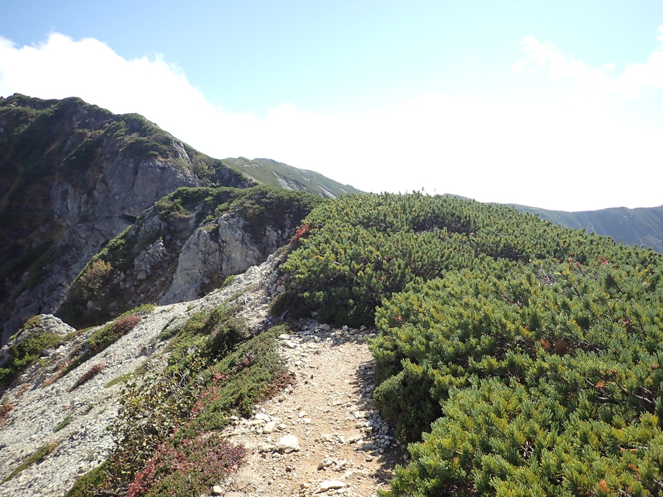 PA025212_mid.jpg