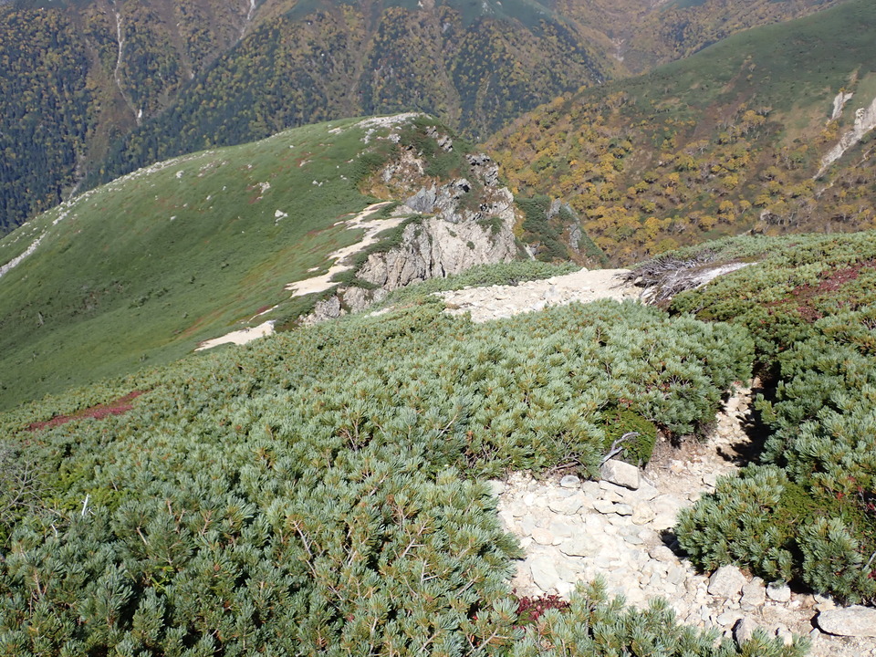 PA025219_mid.jpg