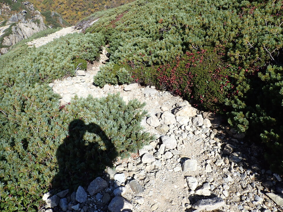 PA025220_mid.jpg
