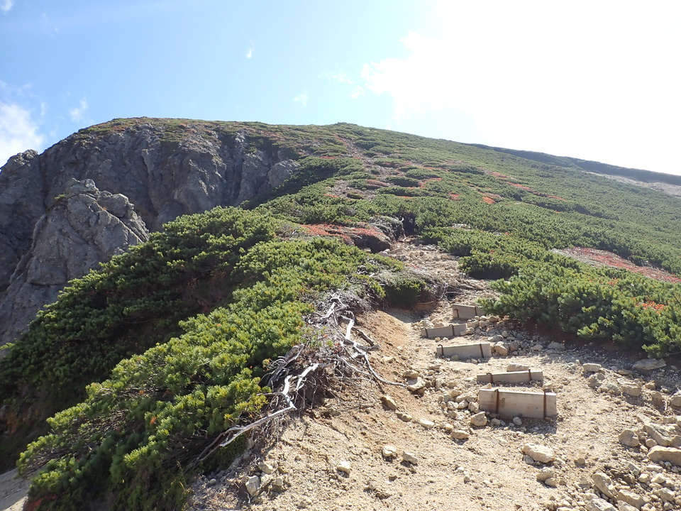 PA025231_mid.jpg