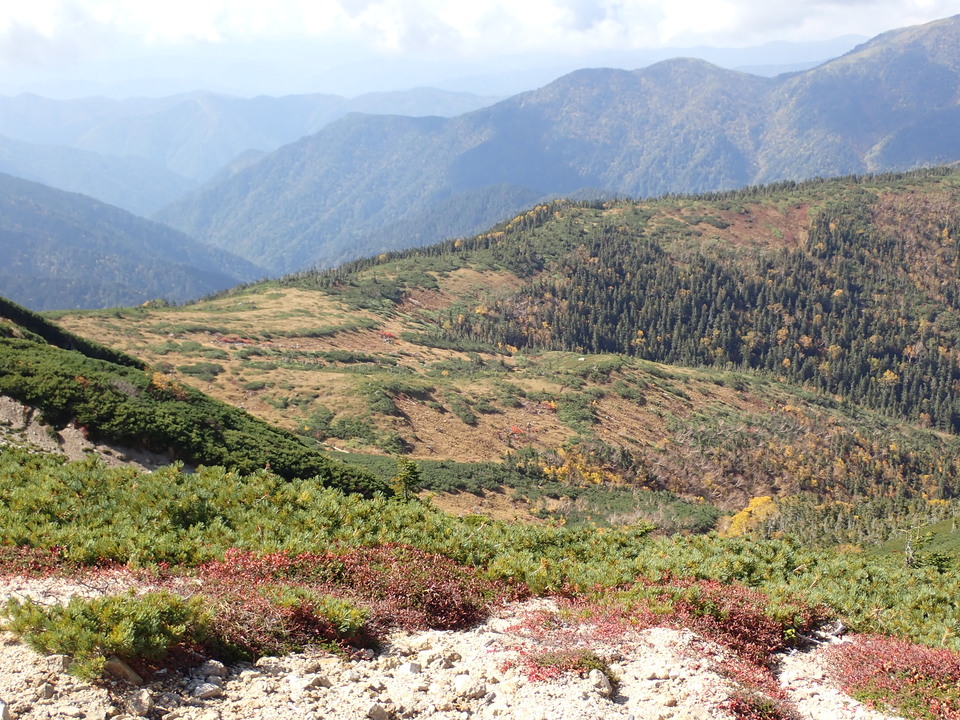 PA025233_mid.jpg