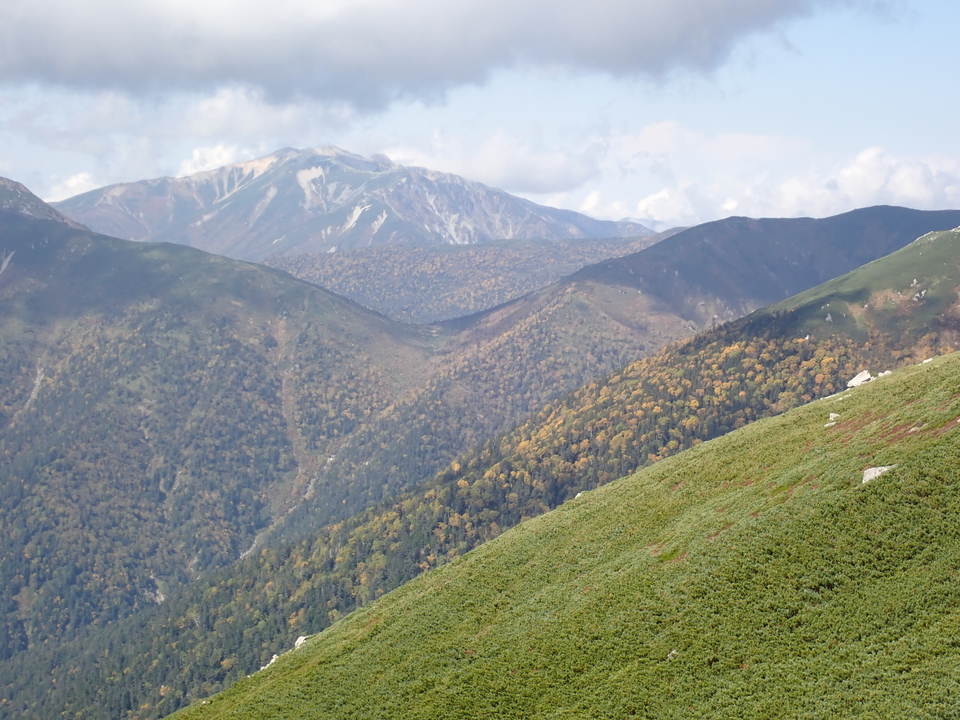 PA025235_mid.jpg