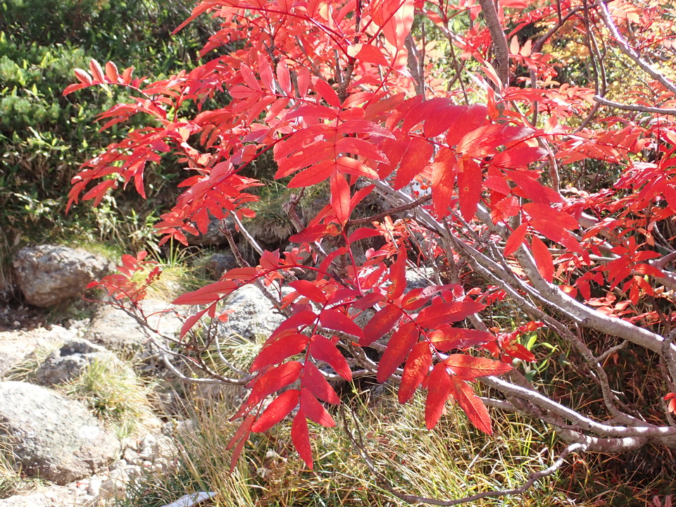 PA025255_mid.jpg