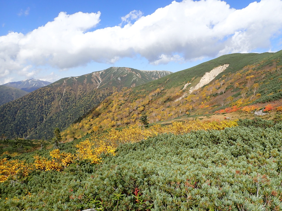 PA025264_mid.jpg