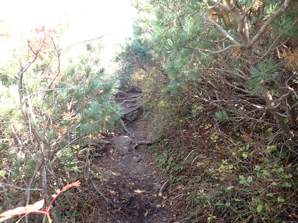 PA025267_mid.jpg