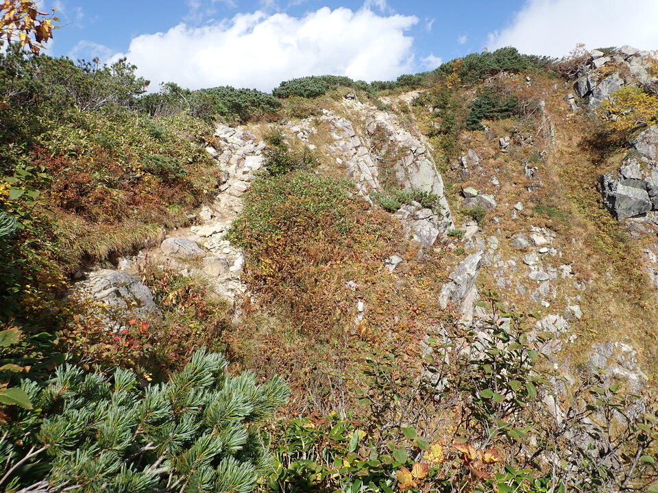 PA025269_mid.jpg