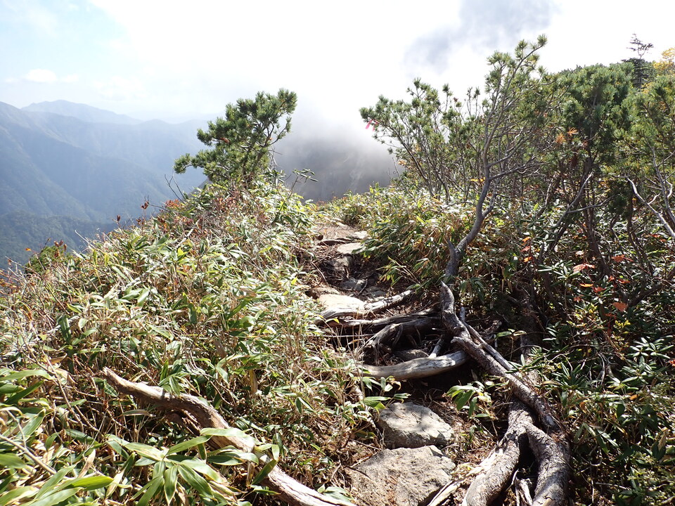 PA025272_mid.jpg