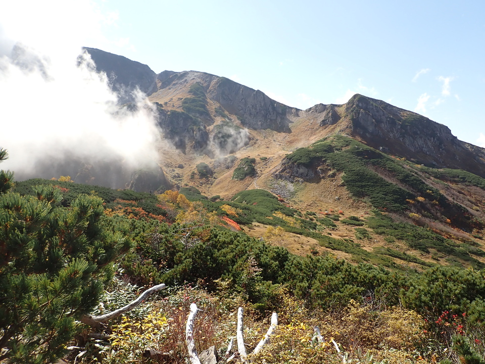 PA025277_mid.jpg