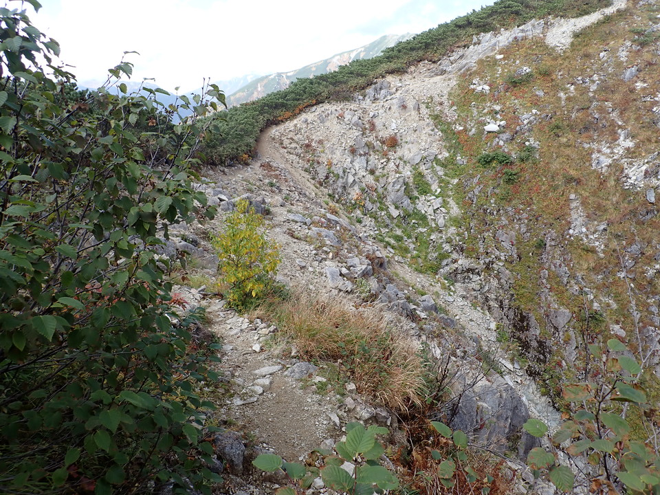 PA025295_mid.jpg