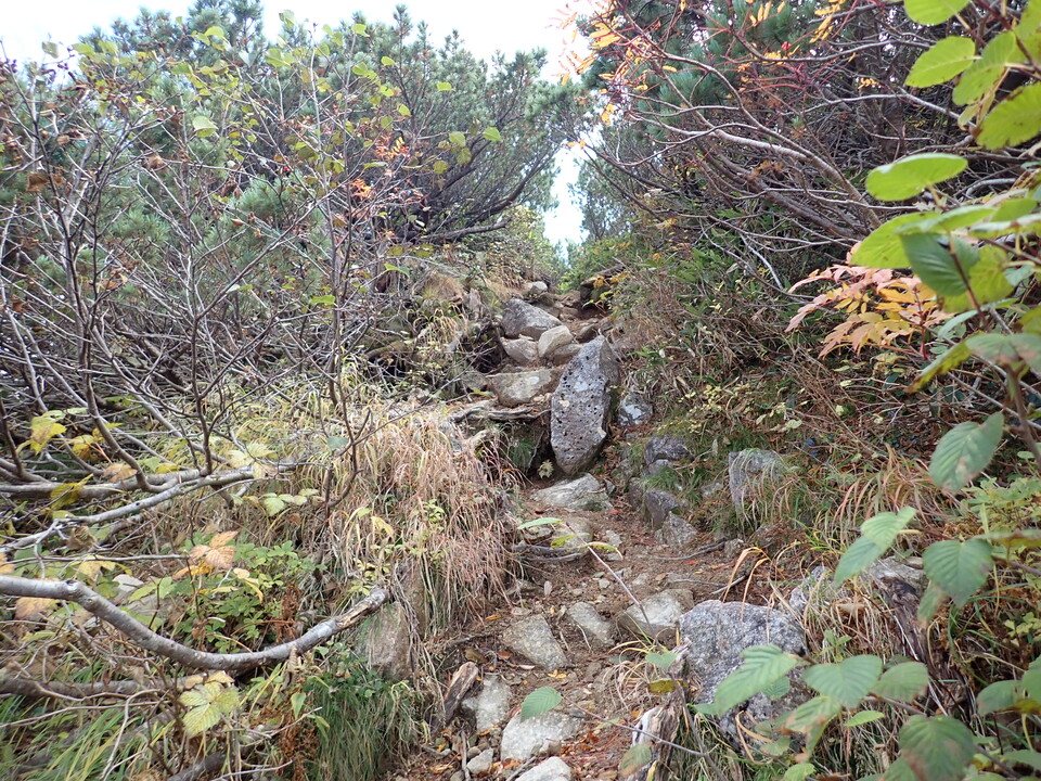 PA025296_mid.jpg