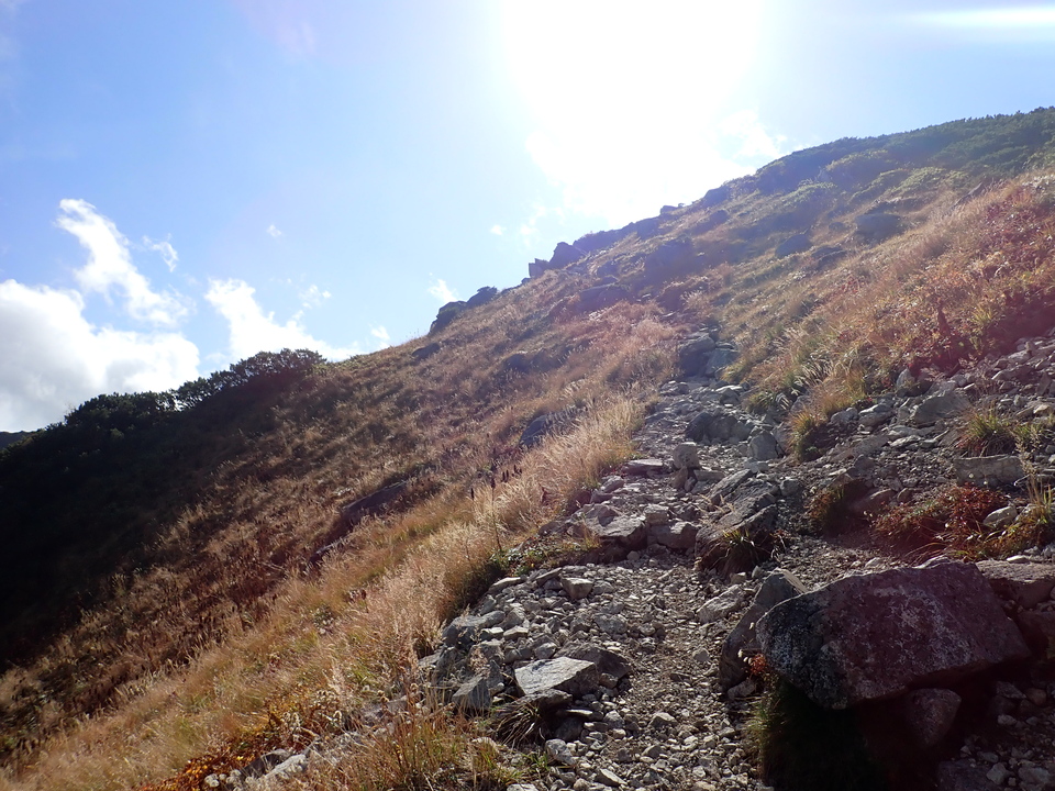 PA025322_mid.jpg