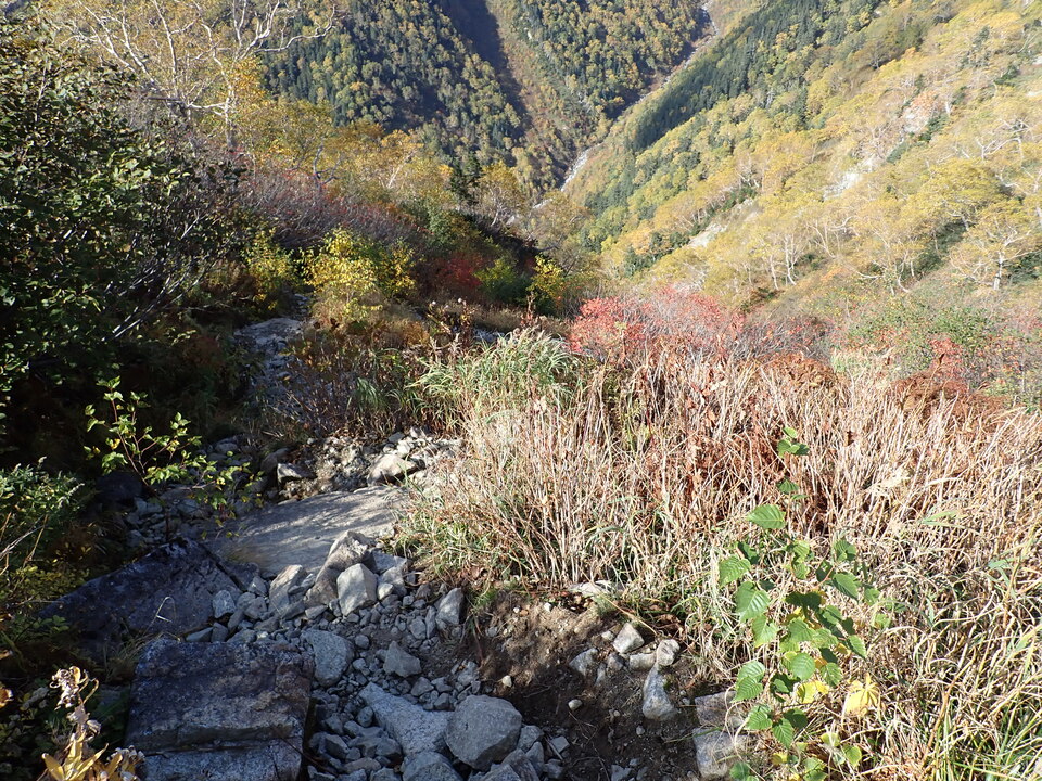 PA025329_mid.jpg
