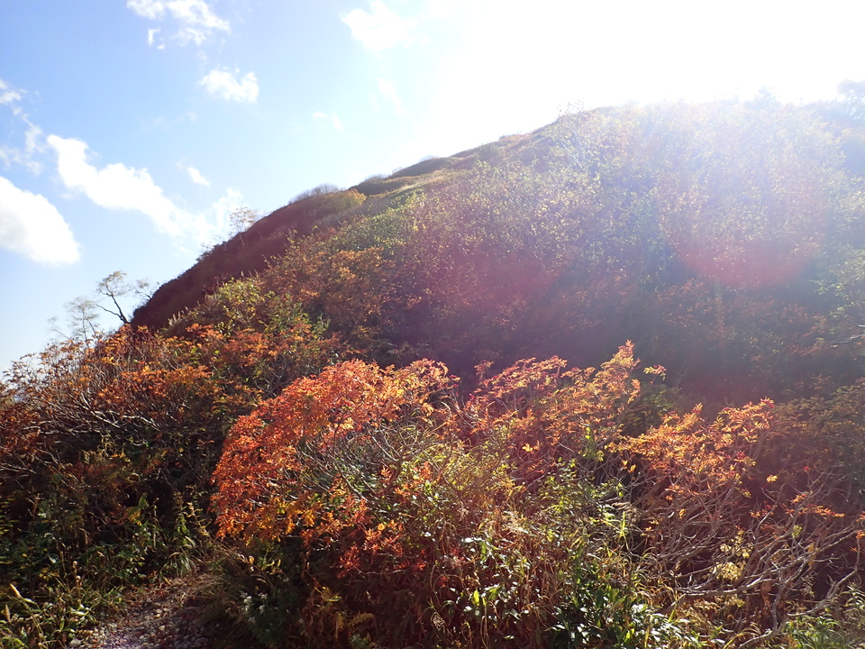 PA025334_mid.jpg
